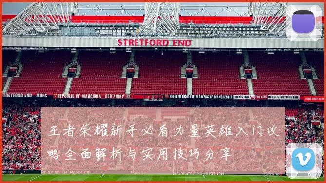 王者荣耀新手必看力量英雄入门攻略全面解析与实用技巧分享