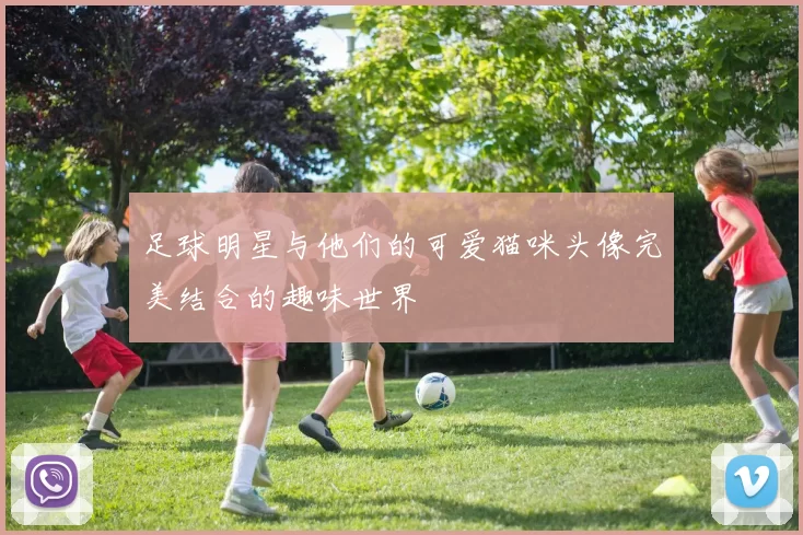足球明星与他们的可爱猫咪头像完美结合的趣味世界