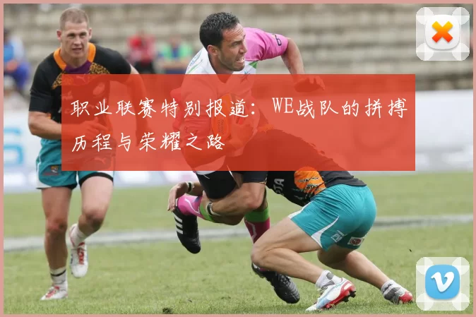 职业联赛特别报道：WE战队的拼搏历程与荣耀之路
