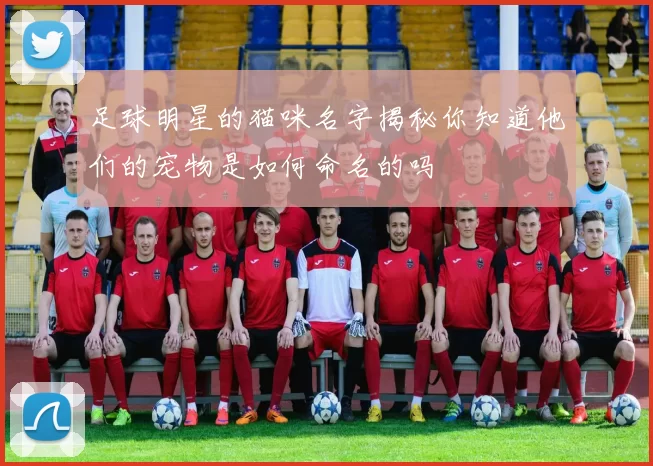 足球明星的猫咪名字揭秘你知道他们的宠物是如何命名的吗