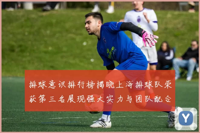 排球意识排行榜揭晓上海排球队荣获第三名展现强大实力与团队配合