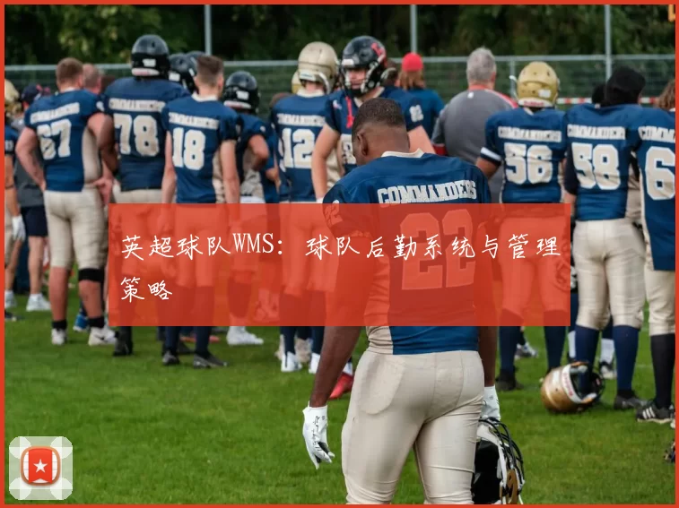 英超球队WMS：球队后勤系统与管理策略