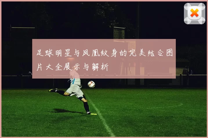 足球明星与凤凰纹身的完美结合图片大全展示与解析