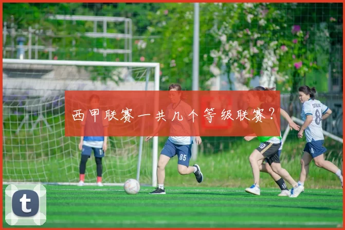 西甲联赛一共几个等级联赛？