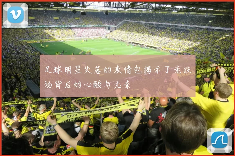 足球明星失落的表情包揭示了竞技场背后的心酸与无奈