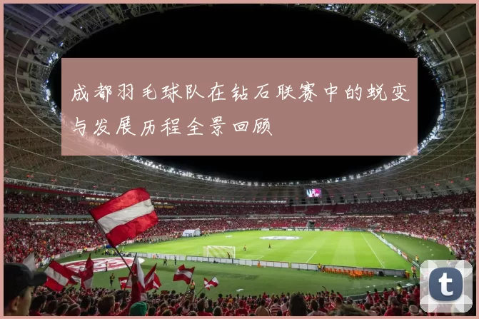 成都羽毛球队在钻石联赛中的蜕变与发展历程全景回顾
