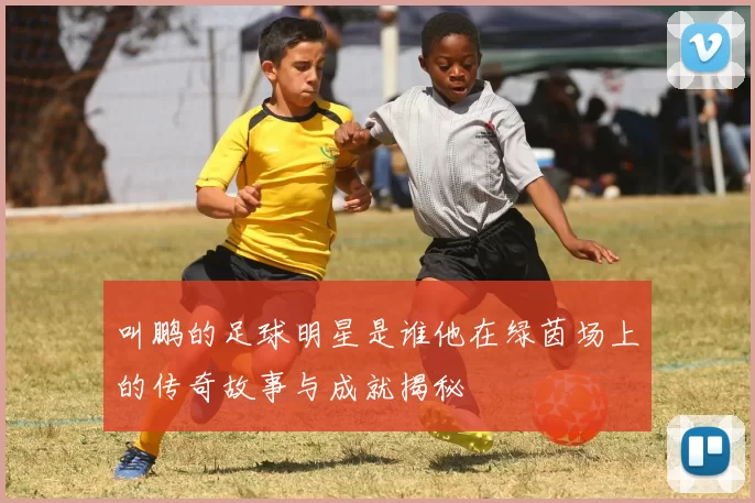 叫鹏的足球明星是谁他在绿茵场上的传奇故事与成就揭秘