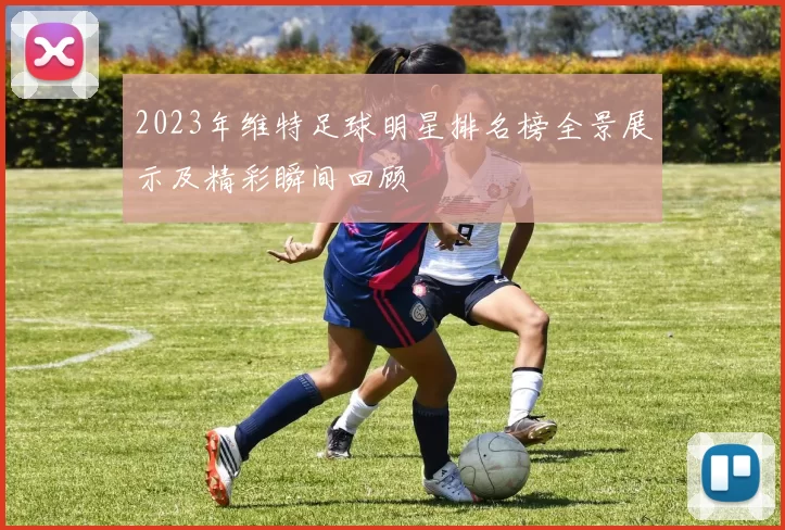 2023年维特足球明星排名榜全景展示及精彩瞬间回顾