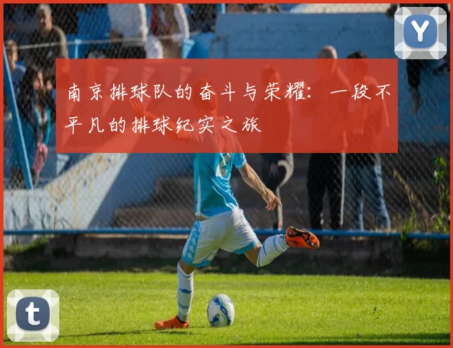 南京排球队的奋斗与荣耀：一段不平凡的排球纪实之旅