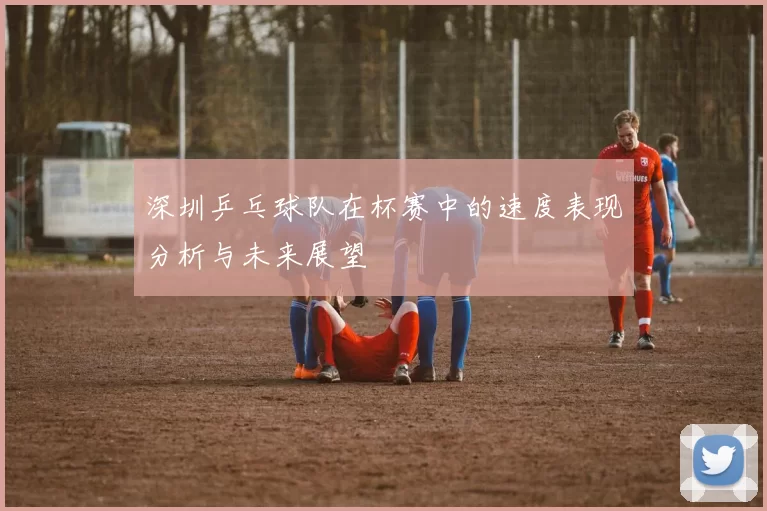 深圳乒乓球队在杯赛中的速度表现分析与未来展望