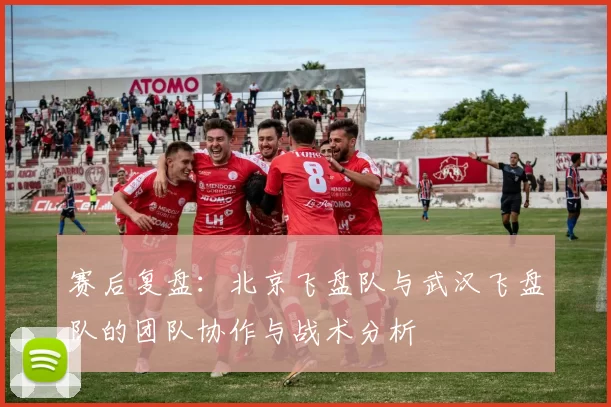 赛后复盘：北京飞盘队与武汉飞盘队的团队协作与战术分析