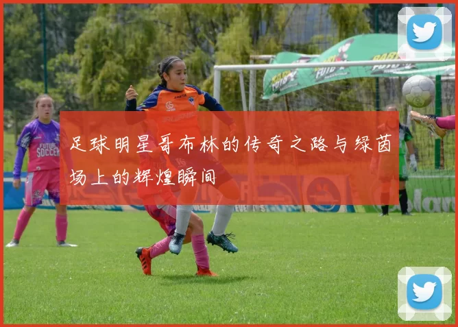 足球明星哥布林的传奇之路与绿茵场上的辉煌瞬间