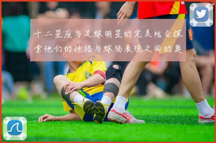 十二星座与足球明星的完美结合探索他们的性格与球场表现之间的奥秘