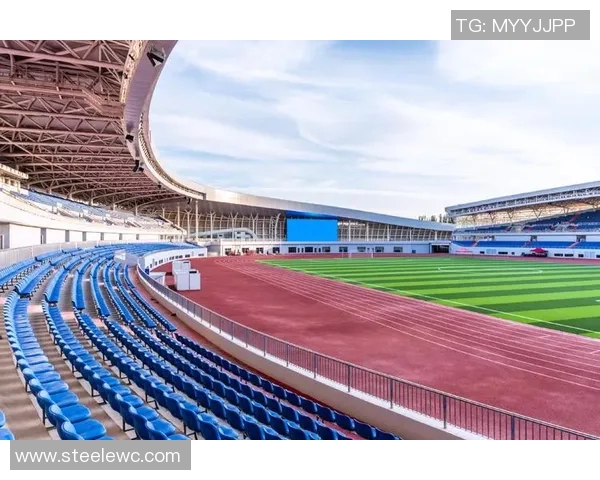 竞技体育司：推动国家体育事业高质量发展和全面深化改革的核心力量